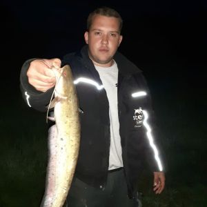 Profilbild