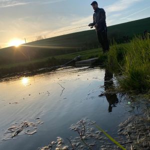 Profilbild