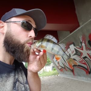 Profilbild