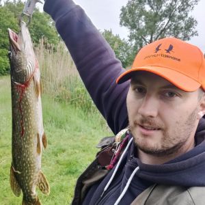 Profilbild
