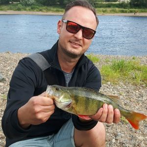 Profilbild