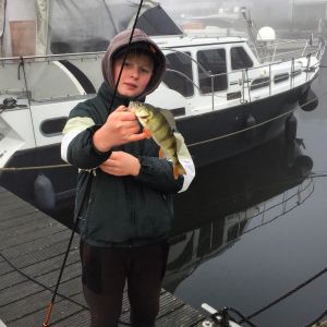 Profilbild