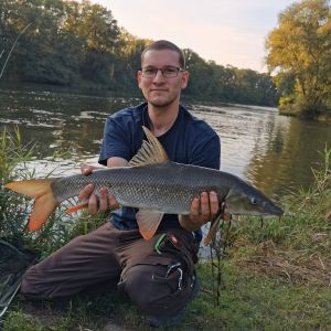 Profilbild