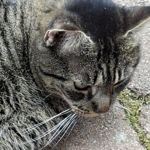 Profilbild