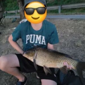 Profilbild