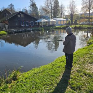 Profilbild