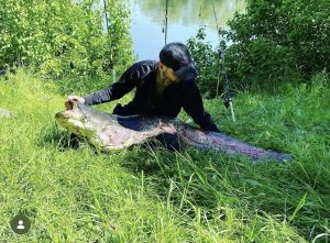 Profilbild