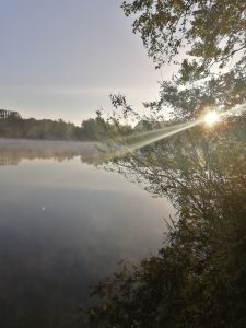 FinnR