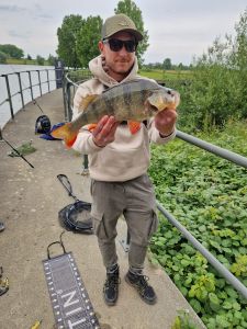 SWAG_baits