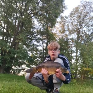 Profilbild