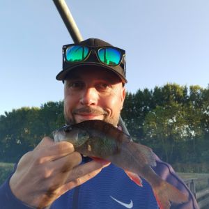 Profilbild