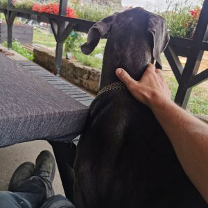 Profilbild