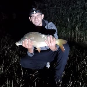 Profilbild