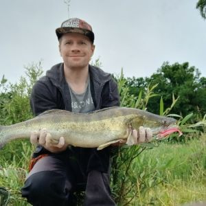 Profilbild