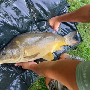 Lom410