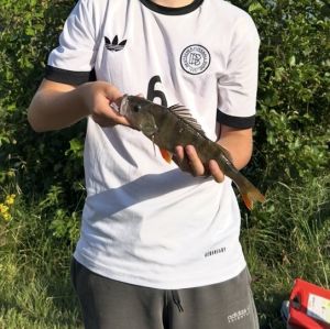 Profilbild