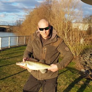 Profilbild