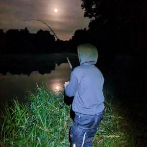 Profilbild