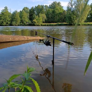 Carp_fishiiing