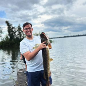 Profilbild