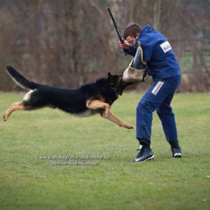Profilbild