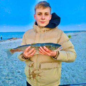 Profilbild