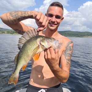Profilbild