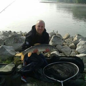 Profilbild