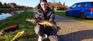 Profilbild
