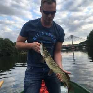 Profilbild