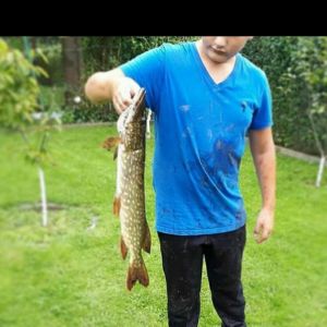 Profilbild