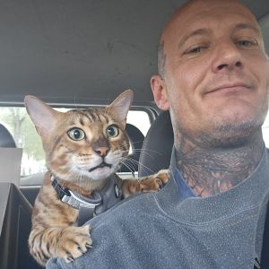 Profilbild