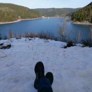Profilbild