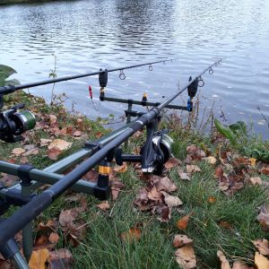 Angler66