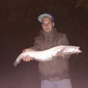 Profilbild