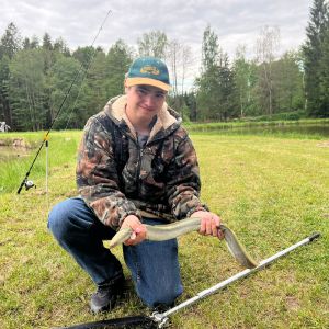 Profilbild