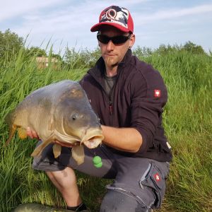 Arno Brahms - Peters