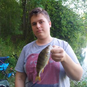 Profilbild
