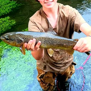 Allroundfishing_ulm