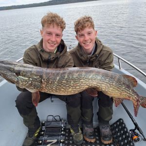 Zwilling.mit.Drilling