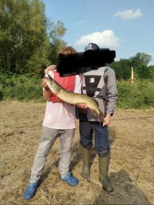 Profilbild