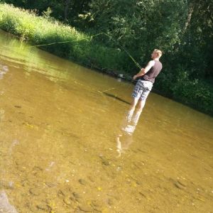 Profilbild