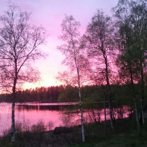Profilbild