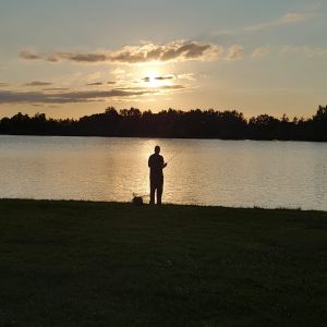 Profilbild