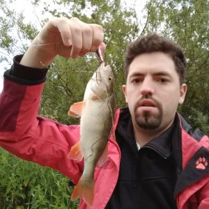 Profilbild