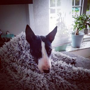 Profilbild
