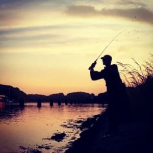 Profilbild