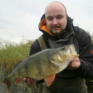 Zander Kadinal