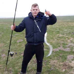 Profilbild