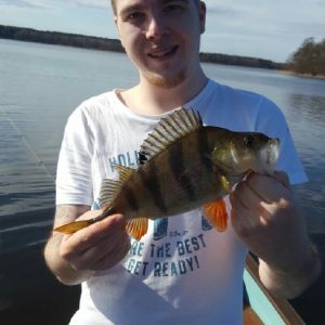Profilbild